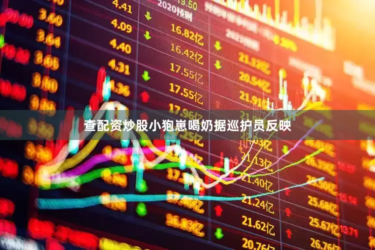 查配资炒股小狍崽喝奶据巡护员反映