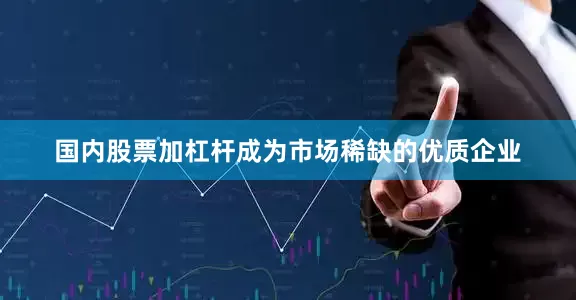 国内股票加杠杆成为市场稀缺的优质企业