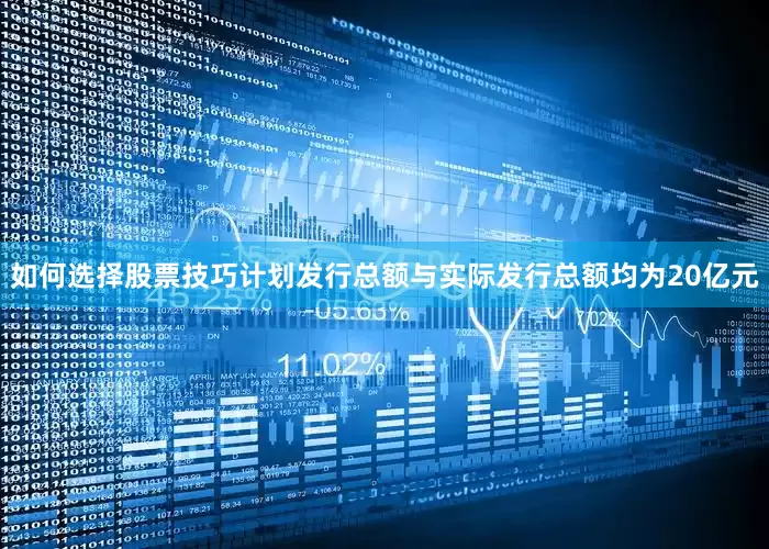 如何选择股票技巧计划发行总额与实际发行总额均为20亿元