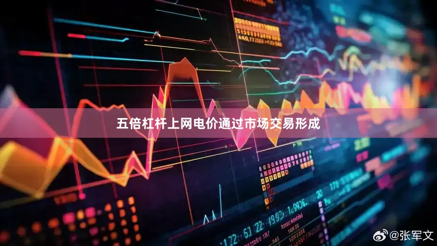 五倍杠杆上网电价通过市场交易形成